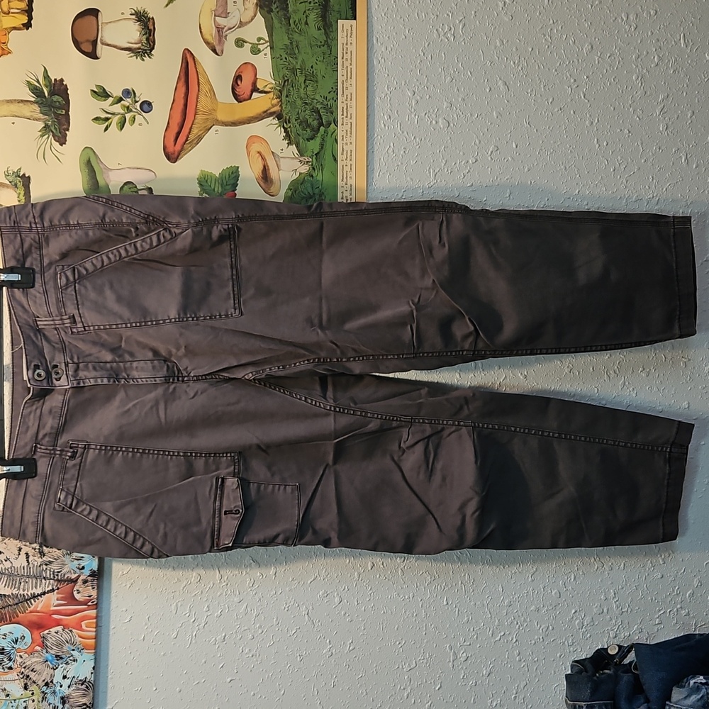 Anthropologie The Wanderer Womens Gray Cargo Pants 16W